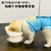 Skater（スケーター）のファッション雑貨/ペットグッズ