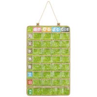 Skater | SKTW0010333