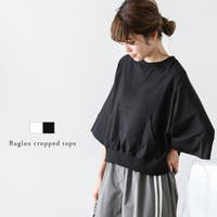 SUGAR BISKET | SGBW0001777