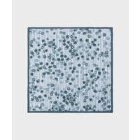 TAKEO KIKUCHI（タケオキクチ）の小物/ハンカチ