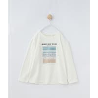 THE SHOP TK | WRDW0215215