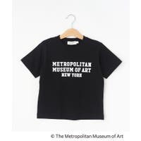 Dessin（デッサン）のトップス/Ｔシャツ
