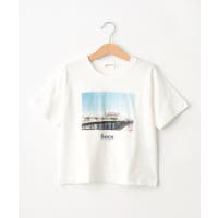 Dessin（デッサン）のトップス/Ｔシャツ