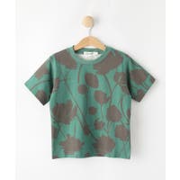 Dessin（デッサン）のトップス/Ｔシャツ