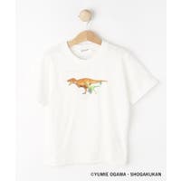 Dessin（デッサン）のトップス/Ｔシャツ