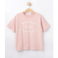 Dessin（デッサン）のトップス/Ｔシャツ