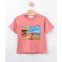 Dessin（デッサン）のトップス/Ｔシャツ