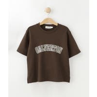 Dessin（デッサン）のトップス/Ｔシャツ