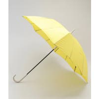 212 KITCHEN STORE | WRDW0234075