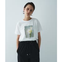 cloenc（クロエンス）のトップス/Ｔシャツ