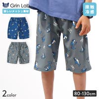 zooland | ZOOK0001803