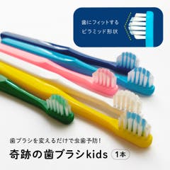 公式【ショップリスト限定】奇跡の歯ブラシ 12本セット（ポリゴン6本