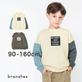 BRANSHES | BRSK0003193