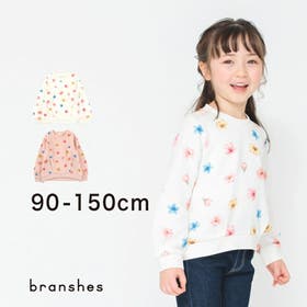 BRANSHES | BRSK0003209