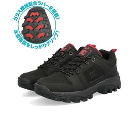 ASBee  | ASES0023521