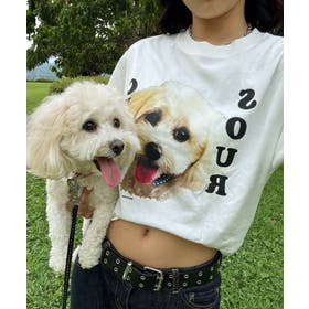 PAL GROUP OUTLET | PALW0007599