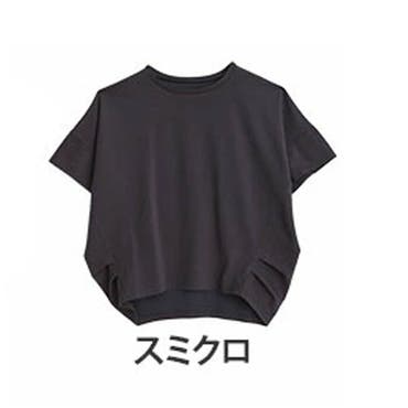 ワンポイント刺繍Tシャツ(WEB限定カラーあり)[品番：ITKW0020995