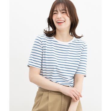 【日本製】デラヴェ天竺 半袖Ｔシャツボーダー　シーズンカラー NICOLE｜【日本製】デラヴェ天竺 半袖Tシャツボーダー シーズン
