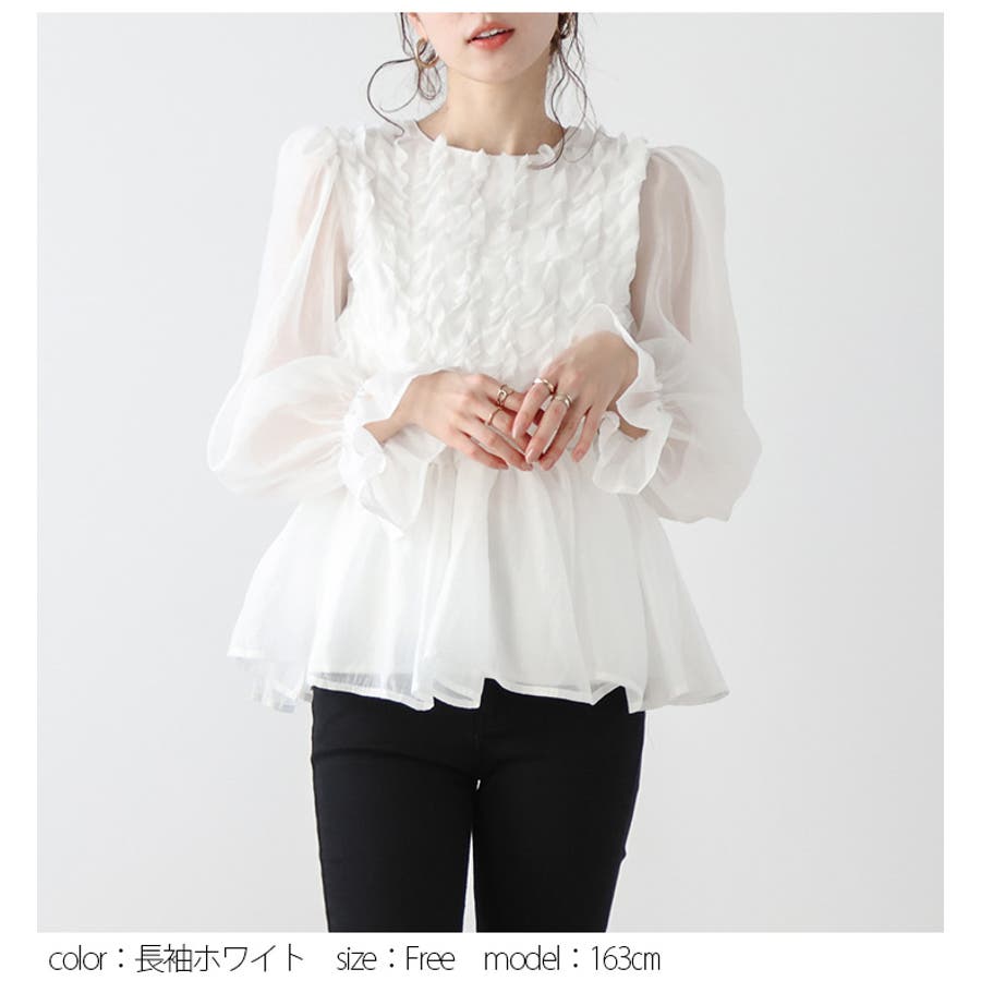 ペプラムトップス 2type フリル [品番：AMLW0002744]｜AMELY（エメリー）のレディースファッション通販｜SHOPLIST（ショップリスト）