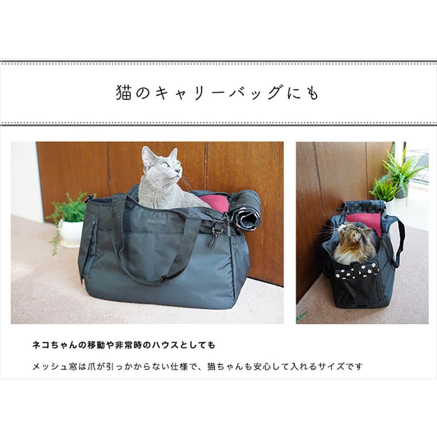 【格安saleスタート】 cdg2cr_6.jpg サプリメント