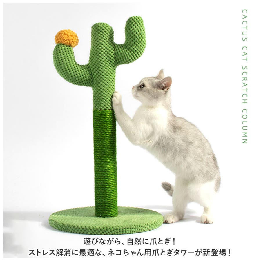 猫 爪とぎ pkxx21063[品番：BCYW0018564]｜BACKYARD FAMILY（バック