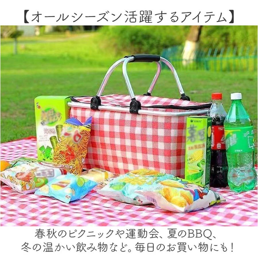 JEJアステージ 収納ボックス クーラーボックス 7L 小型 フォレス