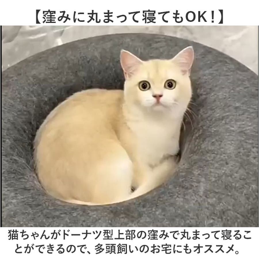 キャットハウス 猫用品 ペット[品番：BCYW0030965]｜BACKYARD