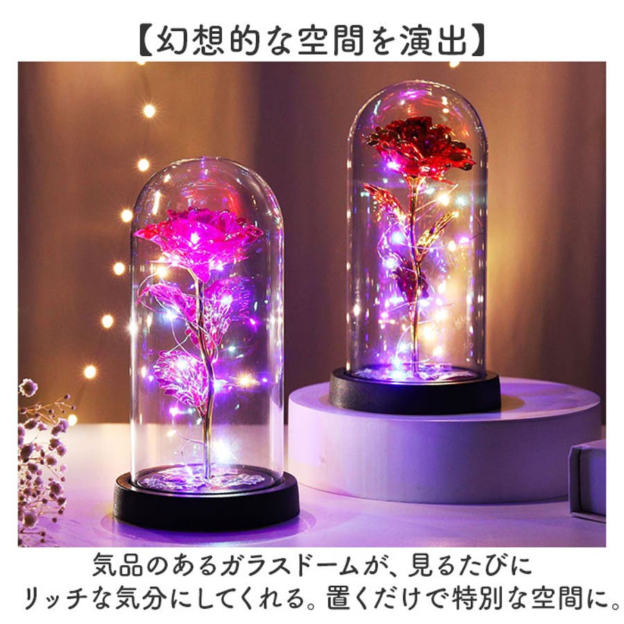 ガラスドーム 飾り おしゃれ LED付き[品番：BCYW0030776]｜BACKYARD