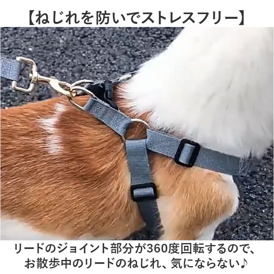 犬 ハーネス リード付き[品番：BCYW0031861]｜BACKYARD FAMILY