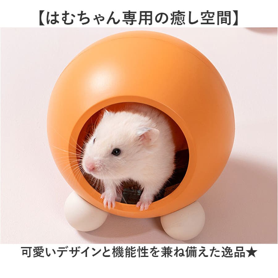人気の贈り物が ハムスター お部屋 隠れ家[品番：BCYW0034293]｜BACKYARD FAMILY その他