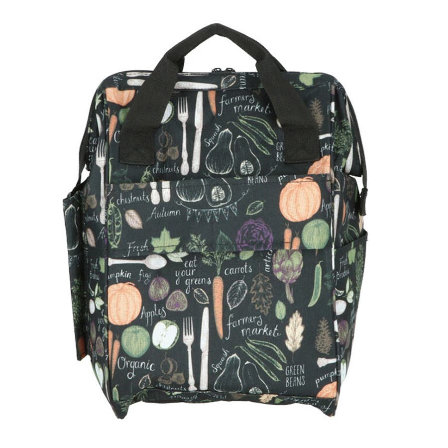 VALENTINO VISCANI ショッピングカート 2本手口枠タイプ[品番