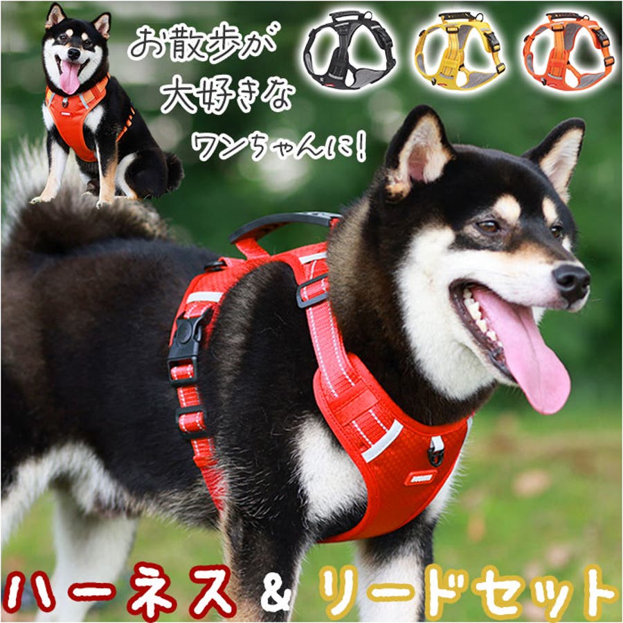 NEIGHBORHOOD DOG HARNESS（試着のみ）サイズM ハーネス犬 【公式通販】
