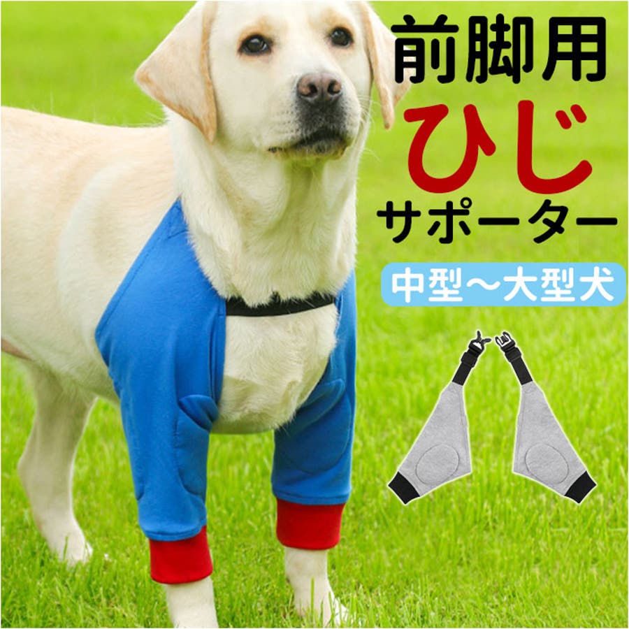 ひじサポーター 犬用 pmydogsp01[品番：BCYW0022565]｜BACKYARD  FAMILY（バックヤードファミリー）のファッション通販｜SHOPLIST（ショップリスト）