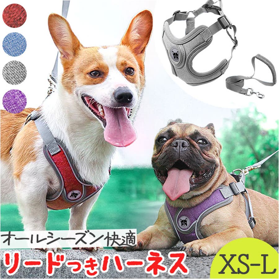 珍しい  kpet32.jpg 首輪・ハーネス・迷子札