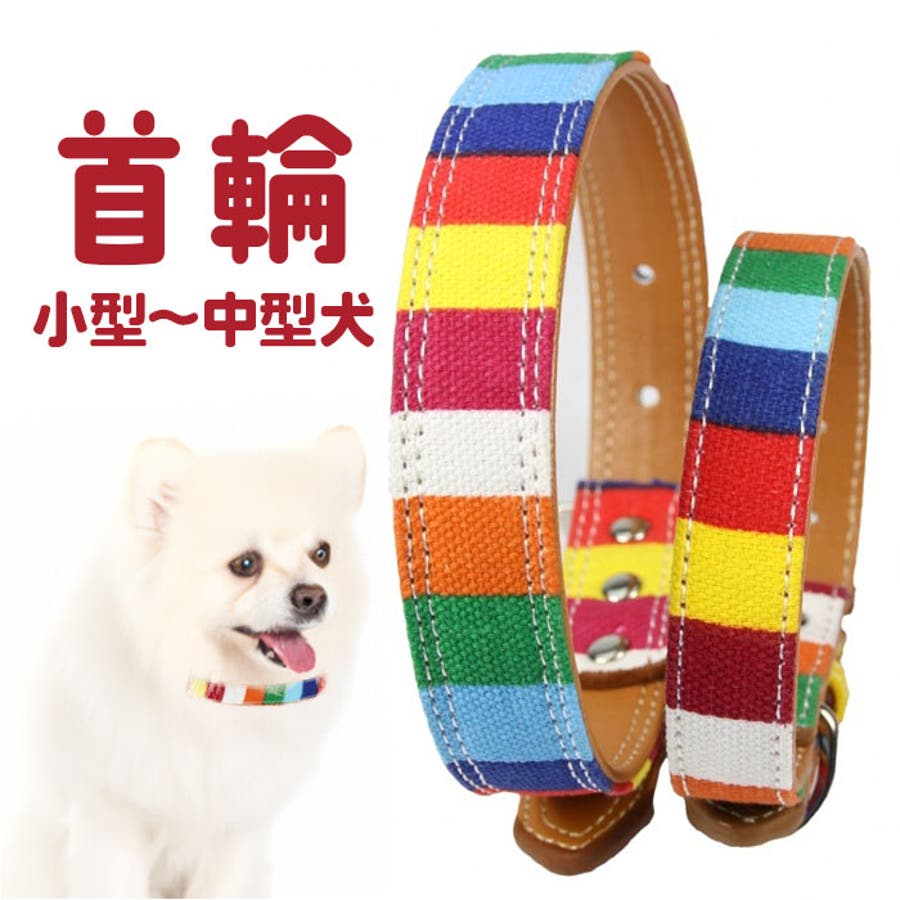 犬 首輪[品番：BCYW0031116]｜BACKYARD FAMILY（バックヤード