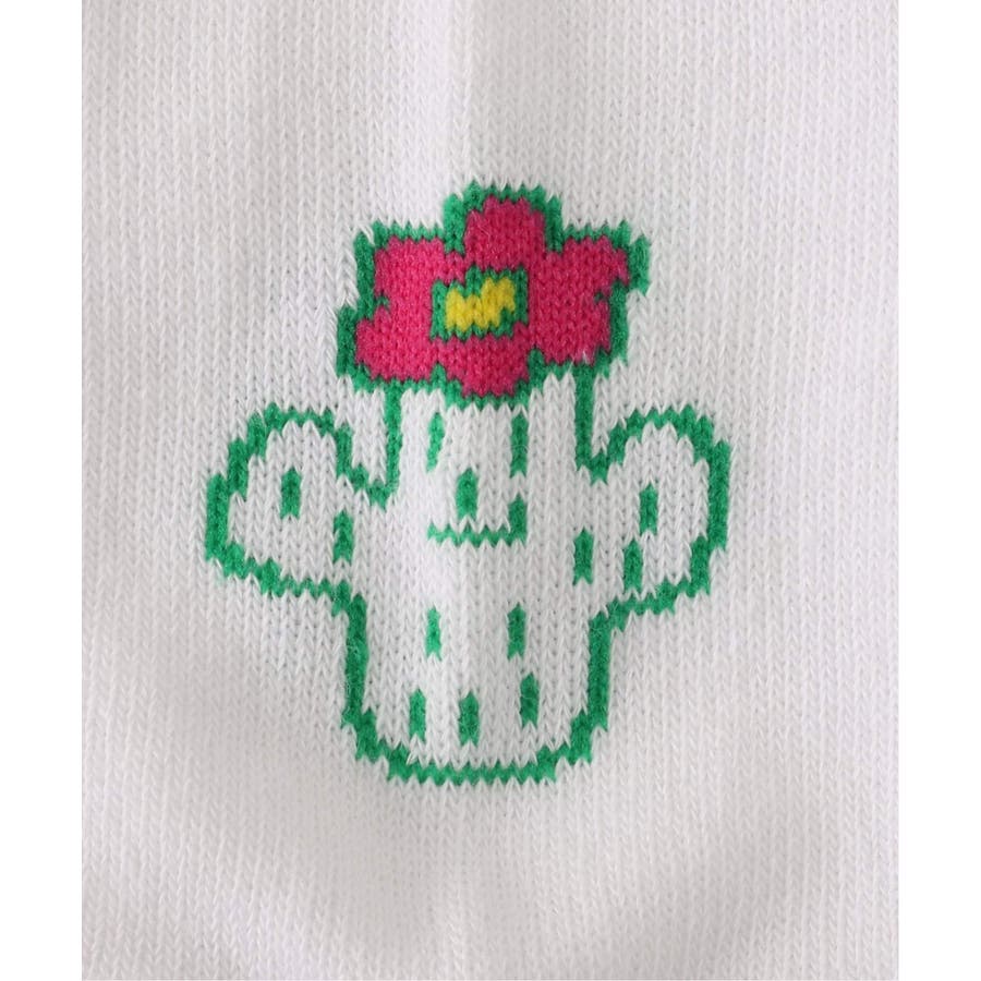 toe saboten[品番：BYCW0002059]｜B.C STOCK（ベーセーストック）の