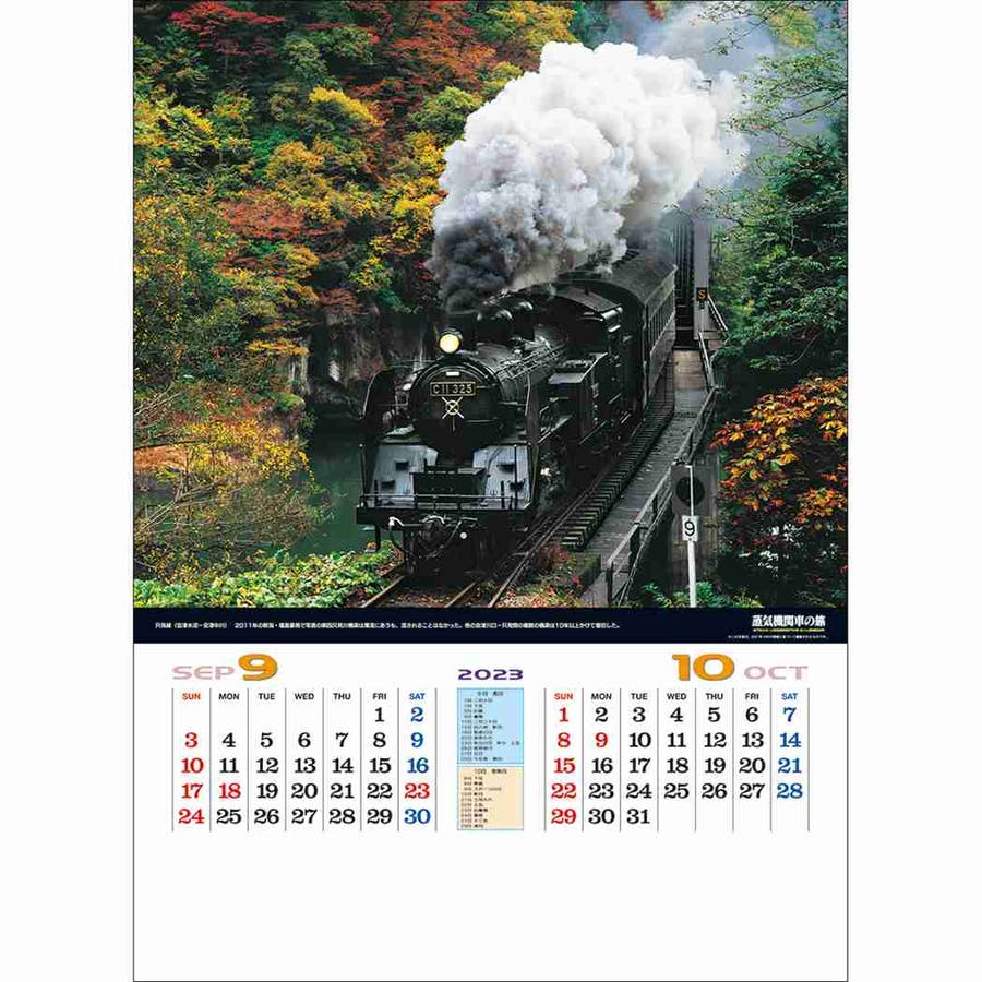 当店だけの限定モデル tdn-2023-td-935_9.jpg 鉄道