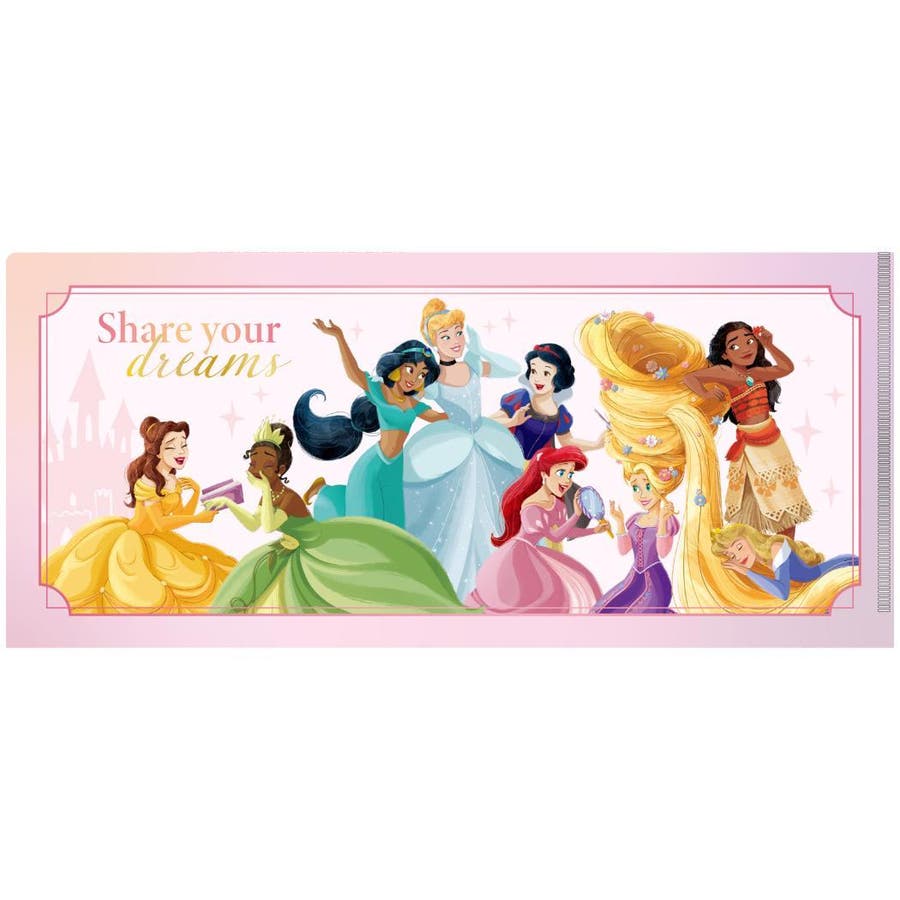 ディズニープリンセス ミニクリアファイル チケットホルダー[品番
