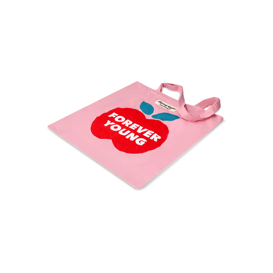 レア】 平成レトロ バンダイ どうぶつらんどバック 箱、説明書