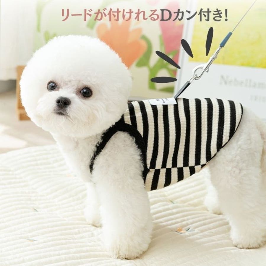 犬服 夏服 キャミソール[品番：WBAW0002406]｜Gain-Mart（ゲインマート