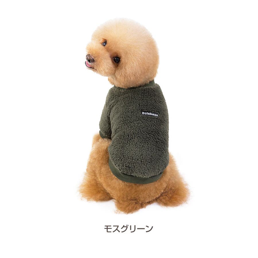 犬服 SS わんこの普段着フルーツカシェモアグリーン