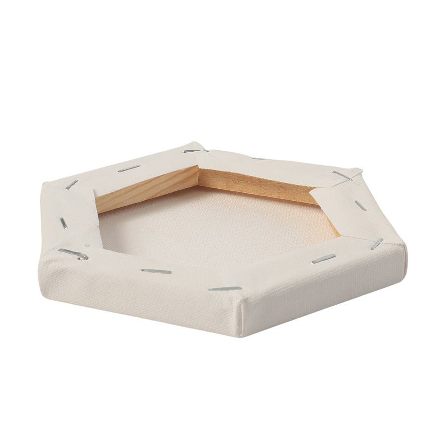 Grab the flag2 ライオン　キャンバスF6号　BAEZ3 スイス 射撃祭 50フラン金貨 2023 Obwalden 発行数6枚 NGC PF68