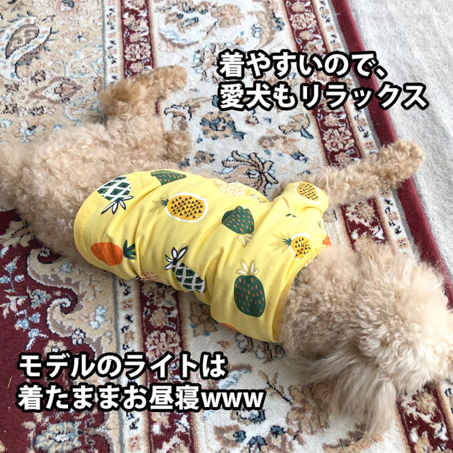 犬 服 犬服 犬の服 ドッグウェア フルーツ柄 Tシャツ アロハ 品番 Nx K City ケイシティ のレディースファッション通販 Shoplist ショップリスト 犬 服 犬服 犬の服 ドッグウェア フルーツ柄 Tシャツ アロハ 品番 Nx K City ケイシティ のレディースファッション通販 Shoplist ショップリスト