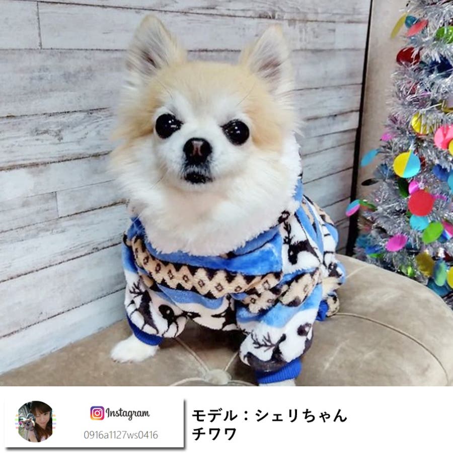 犬用花柄ネイビー服 GG-694-23 犬用花柄ネイビー服 GG-694-23 md06201_1.jpg