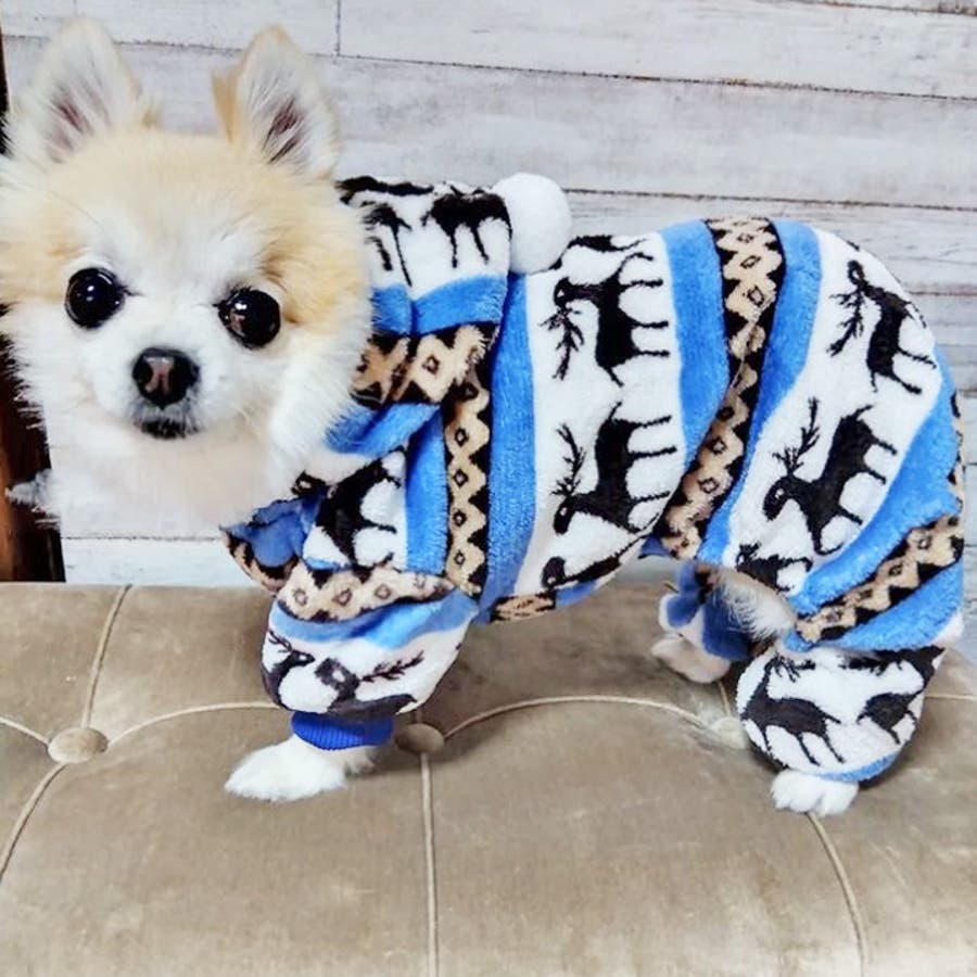 Amazon | 【 日本製 犬 服 】 チワワ トイプードル ポメラニアン
