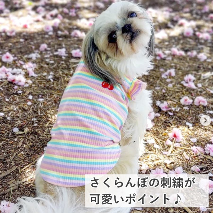 犬 服 犬服[品番：NX000006274]｜K-city（ケイシティ）のファッション 