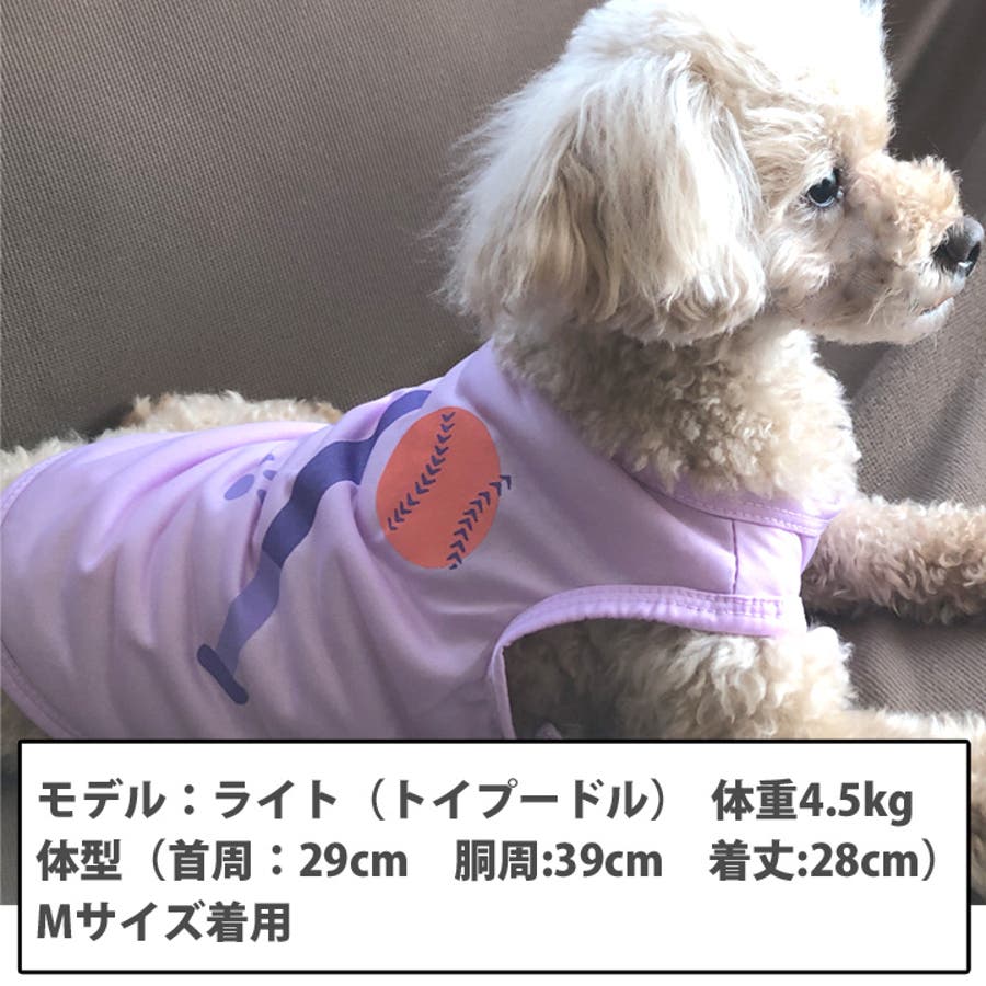 犬 服 犬服 犬の服 タンクトップ USA 星条旗 ドッグウェア[品番