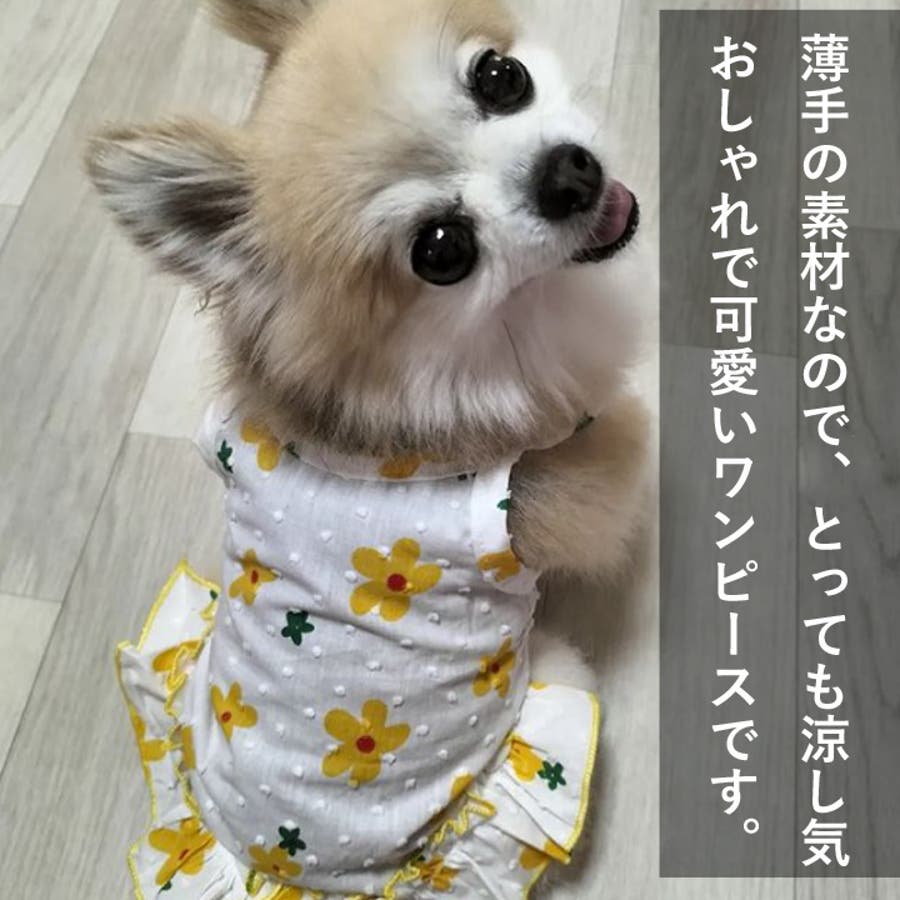 犬 服 犬服 犬の服 フルーツ柄 ワンピース キャミソール ドッグ