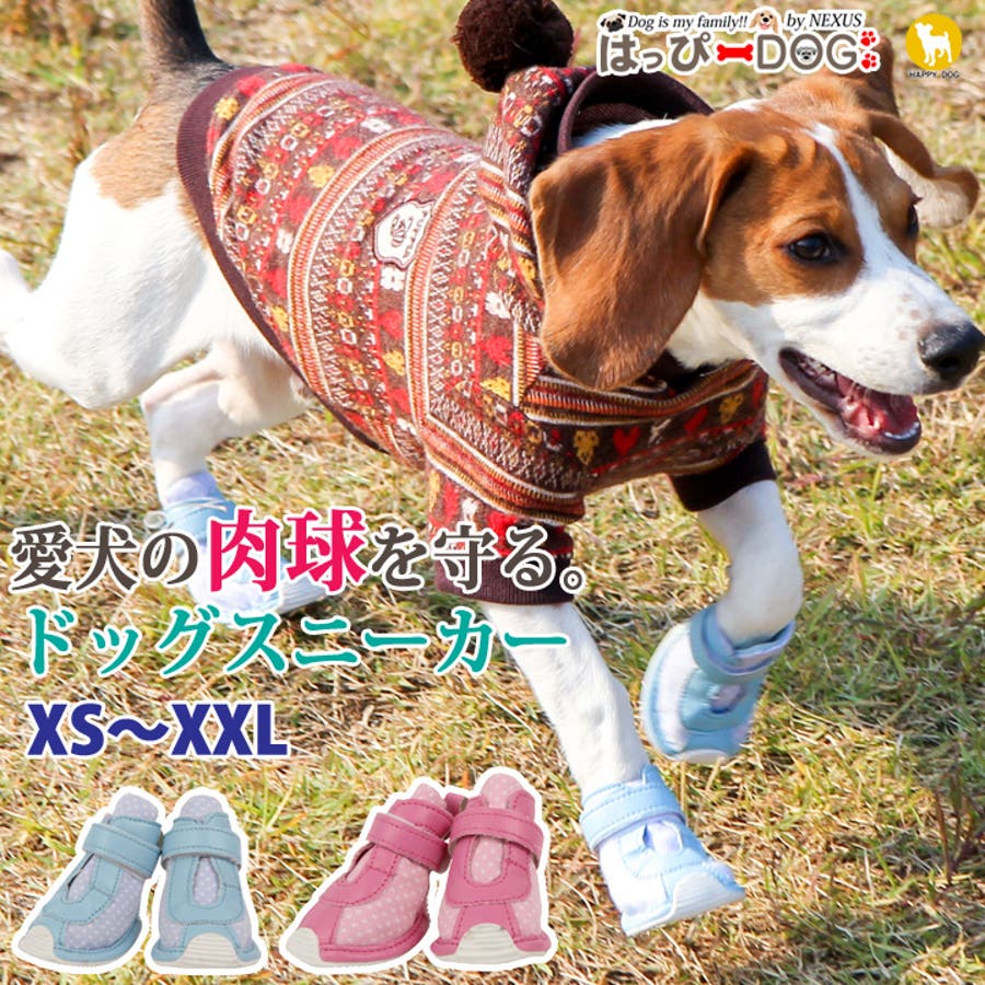 犬 靴 犬靴[品番：NX000006392]｜K-city（ケイシティ）の