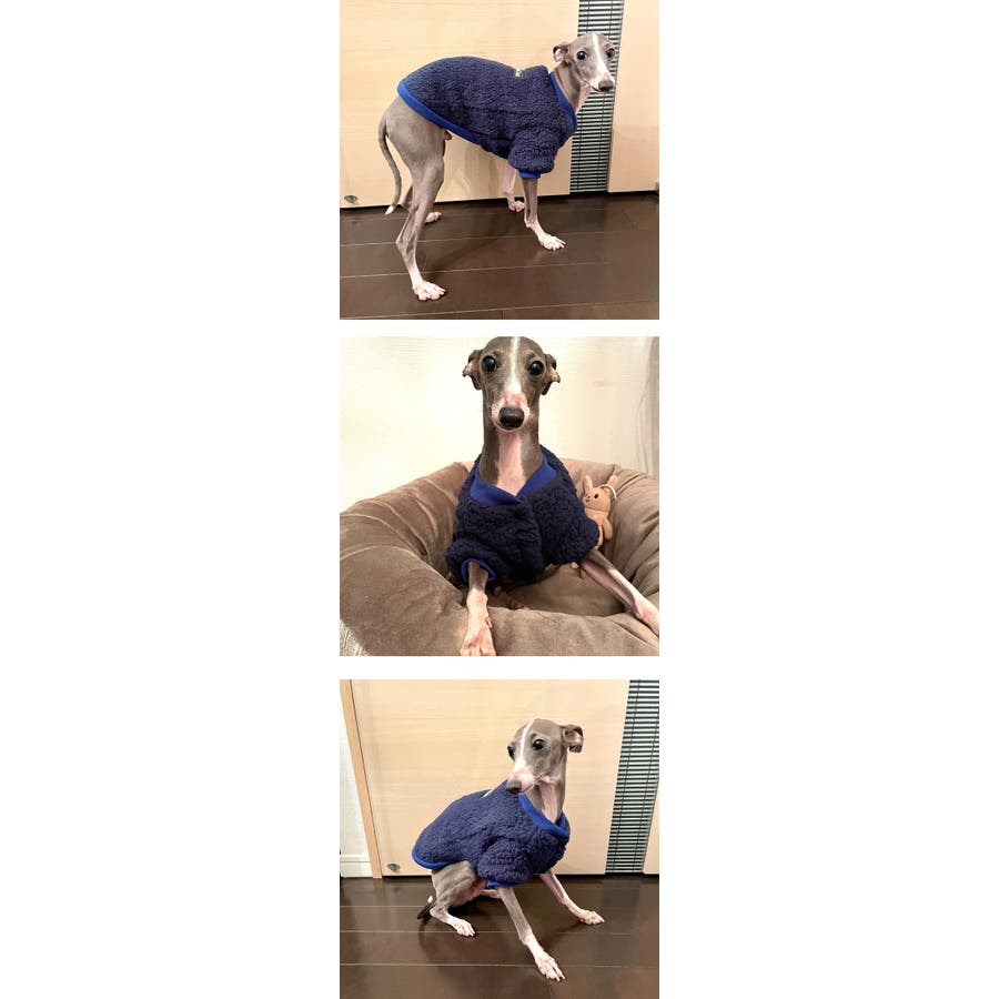 独特の上品 イタグレ 犬 服 犬服・アクセサリー